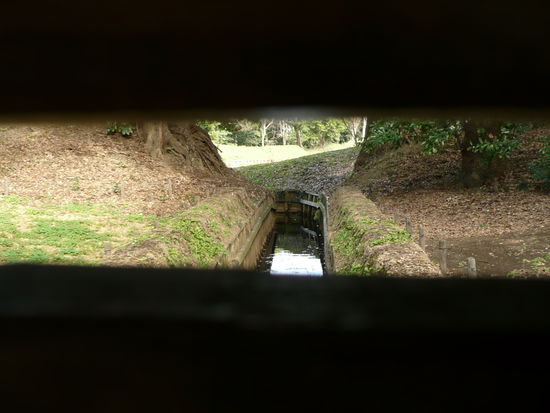 Und neugierig durchgeschaut