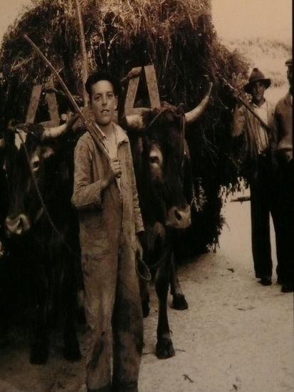 Galicischer Bauernjunge