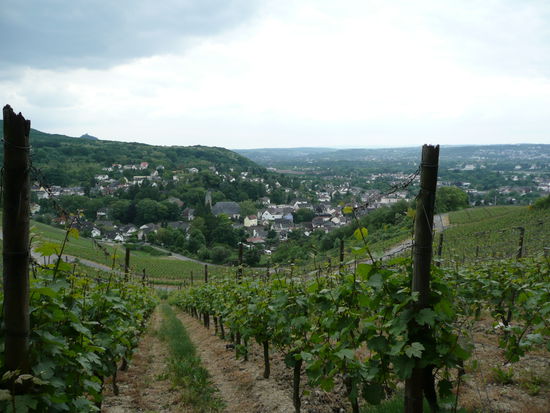 Blick auf Oberdollendorf