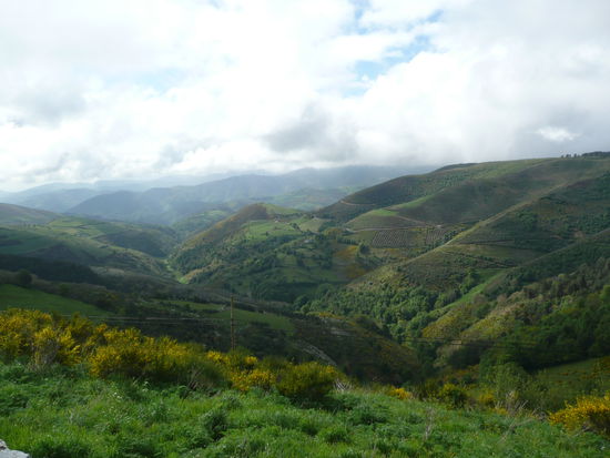 Landschaft um O Cebreiro