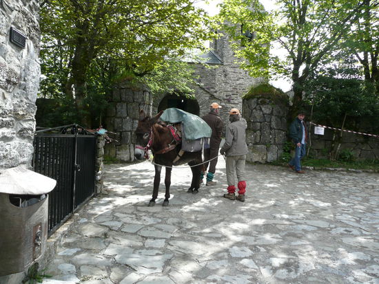 In O Cebreiro treffen wir auf Pilger mit Esel, der das Gepaeck tragen muss.