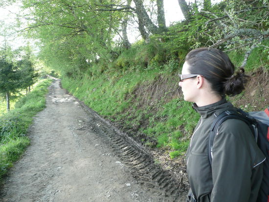 Auf dem Weg nach Triacastela