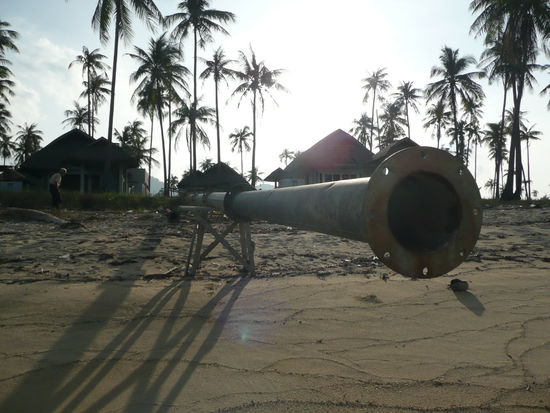 Lecker Rohr direkt ins Meer