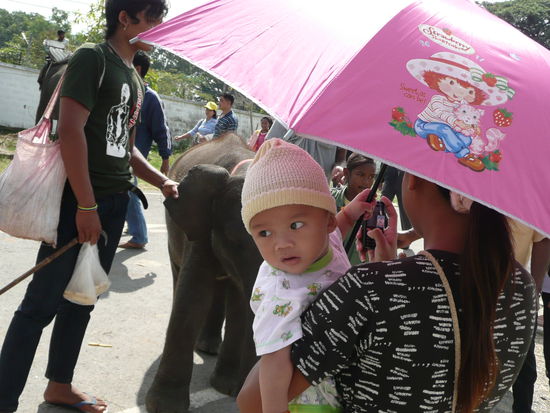 Markt in Surin. 35 Grad und nee Wollmuetze