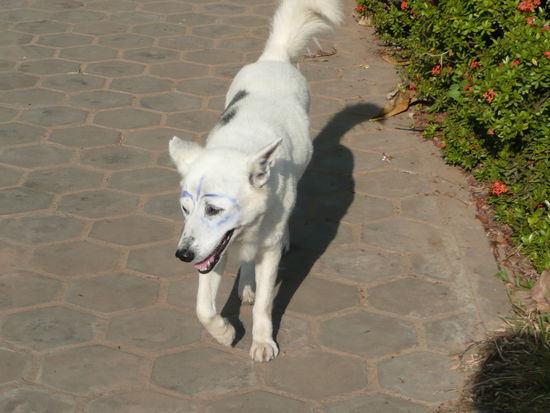 Vergessen abzuschminken ??