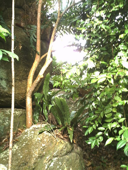 Felsspalt mit keiner Hoehle dahinter