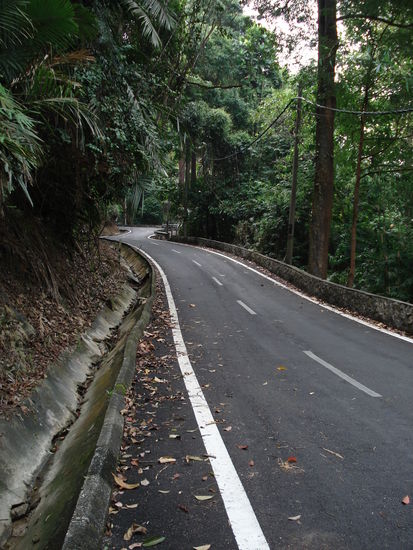 das war noch der nette Teil der Strecke...