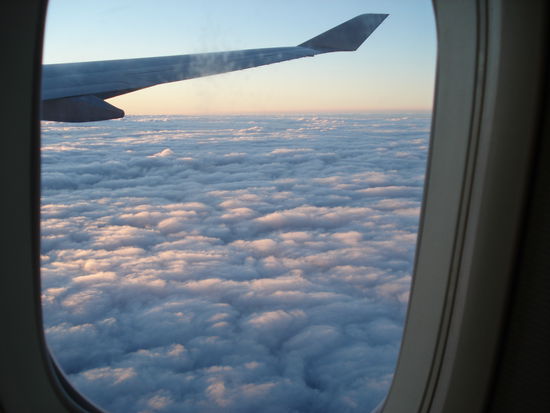 der blick auf sydney um 6 uhr morgens