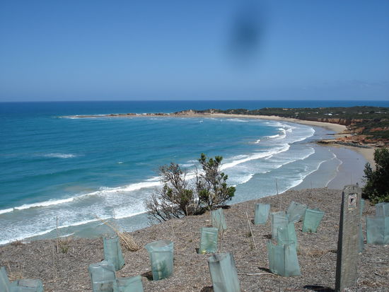 und noch mehr schönes 