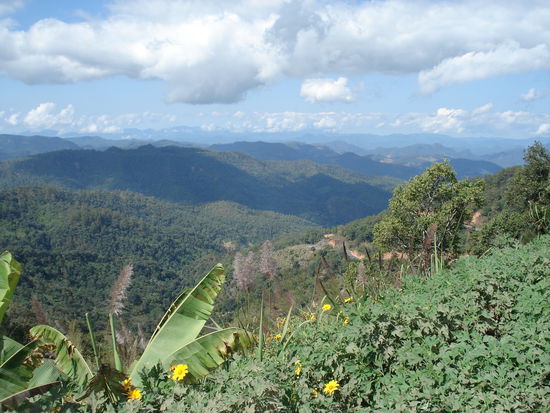 Als wir dann endlich oben angekommen sind auf dem Berg gabs diese schoene aussicht zu bewundern 