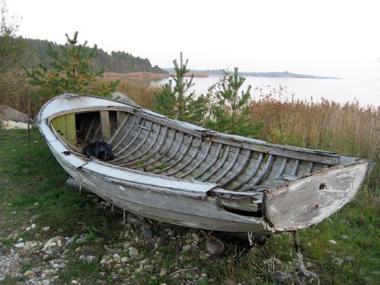 Dieses Boot liegt romantisch am Schilfgürtel vor dem Jugendgästehaus
