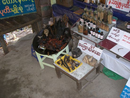 Bärenpfoten, Affenköpfe und anderes ekelhaftes Zeug....der Sud der unten austritt soll heilend Wirkung haben und wird von Pilgern getrunken