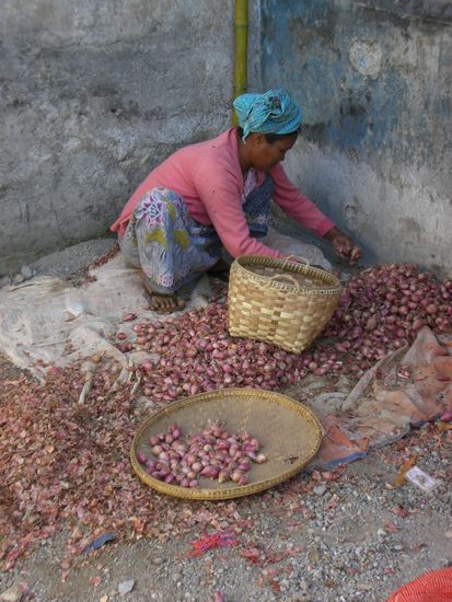 Gemüseabteilung- Spezialgebiet Zwiebeln- auf dem Markt......