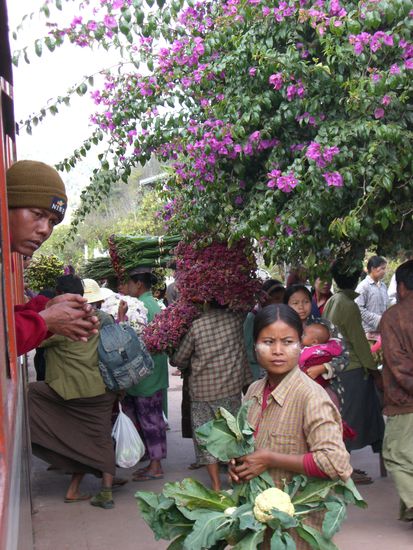 am nächsten Stop gabs dann Blumen.....usw.