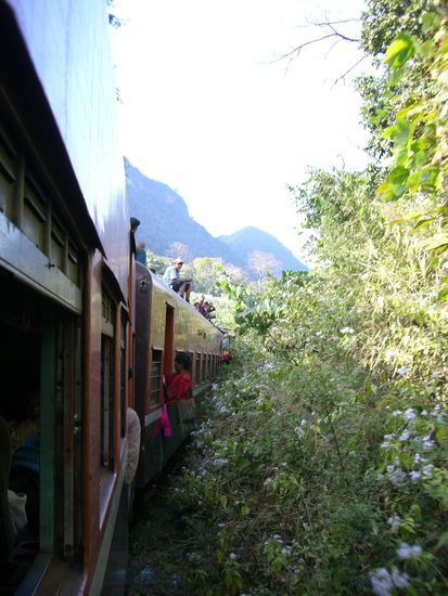 auch sehr beliebt.....mitfahren auf dem Dach......