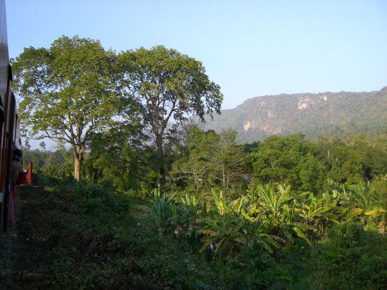 ....und verschiedene Vegetationszonen