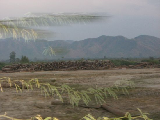 .....bis hin zur Steppe.....