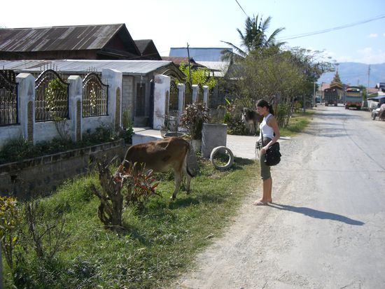 Birgit hat mal wieder ein Tier gesehen und kommt davon nicht los.....