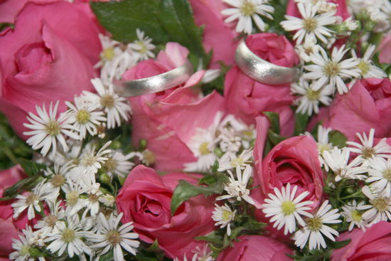 Unsere Ringe aus Chiang Mai