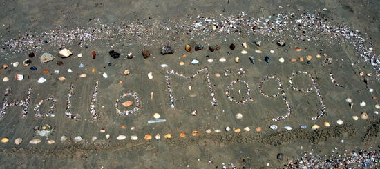 Fuer Maeggie Stadlhofer
gestaltet von Dietmar