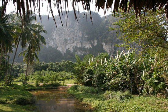 Das sehen wir, wenn wir ueber unseren Fruehstueckstellerrand hinausblicken!
