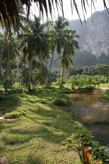 Blick vom Fruehstuecksplatz