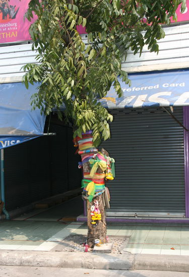 Wunschbaum im Lumpini Park