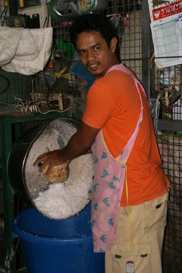 Harte Nuß, Kokosnuß Verarbeitung