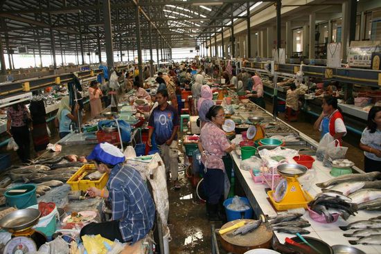 Morning Market Krabi