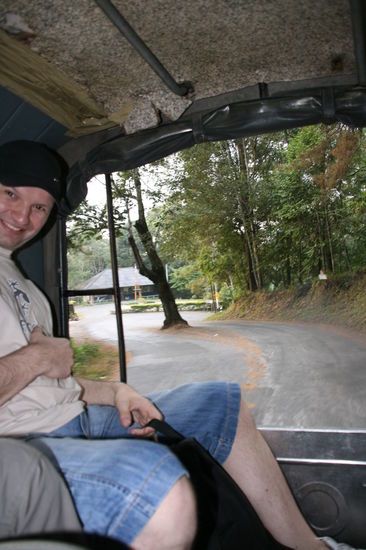 Und plötzlich,nach der Kurve,steht ein Baum auf der Strasse