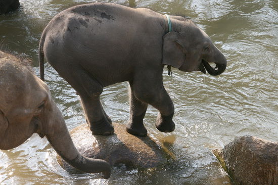 Neues Mitglied fuer den Tanzkreis?
Gruss an Sabine und Bernd