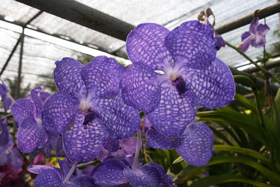 Gruesse an Angelika und Margot