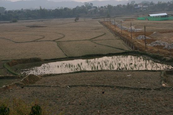 Reisfelder im Norden von Laos