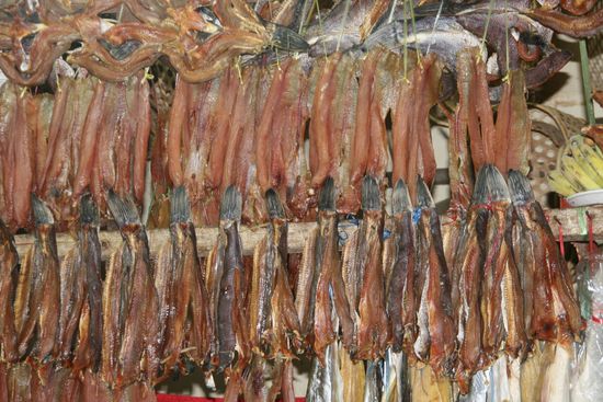 Getrockneter Fisch