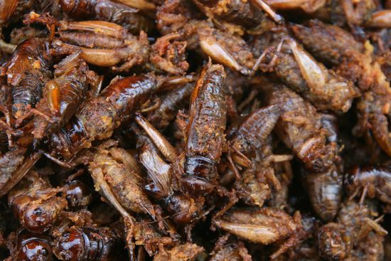 .....und ein frisches Baguett