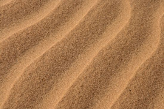 Der Wind als Kuenstler