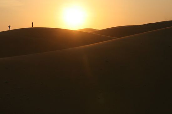 Abendstimmung in den Duennen