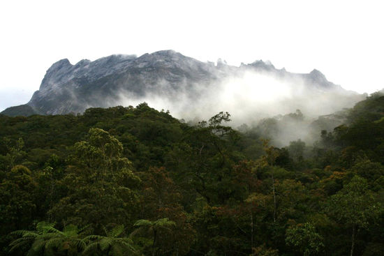 Kinabalu am Morgen
