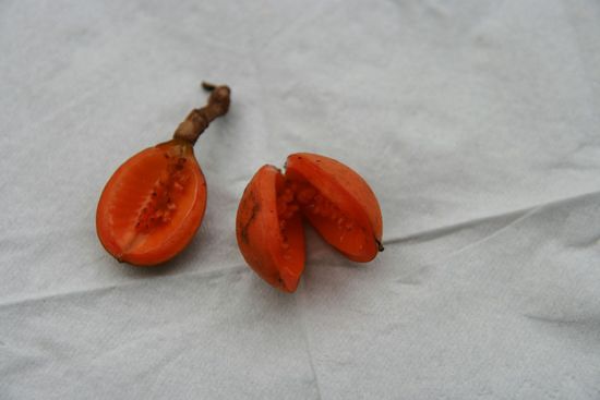 Kerosinfrucht,brennt und duftet wunderbar zitronig