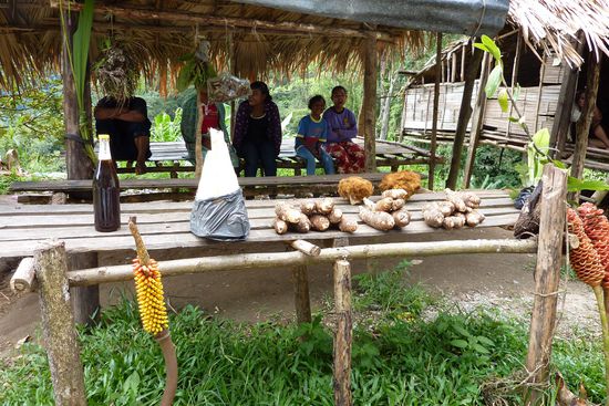 Kaufhaus bei den Orang Asli