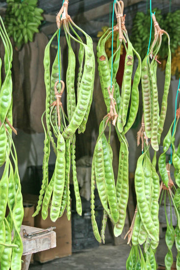 Petai (Baumbohnen aus dem Regenwald)