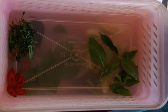 Zutaten für Panang Curry