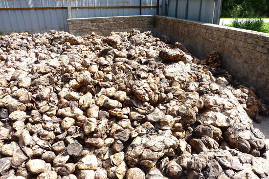 Kautschuk Sammelstelle