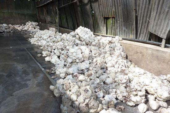 Kautschuk (Stinkt erbärmlich)