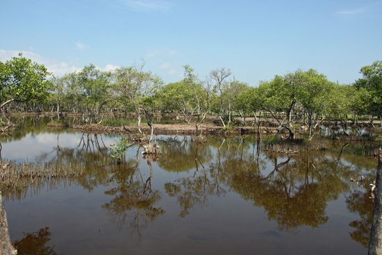 Salzsee auf Gili Meno