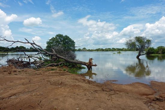 Am Kalawewa Stausee