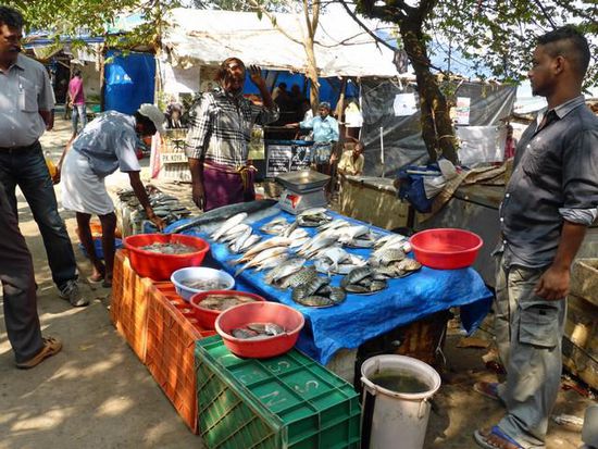 Fischmarkt am Fort Cochi