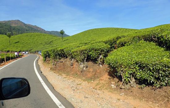 Auf dem Weg nach Periyar