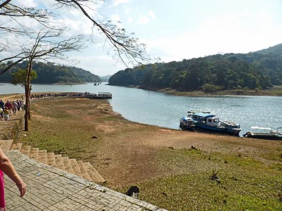 Im Wildschutzpark Periyar