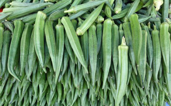 Ladyfinger ( Okra )